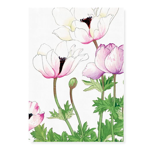 Poppy flowers By Tanigami Kônan Art-Print