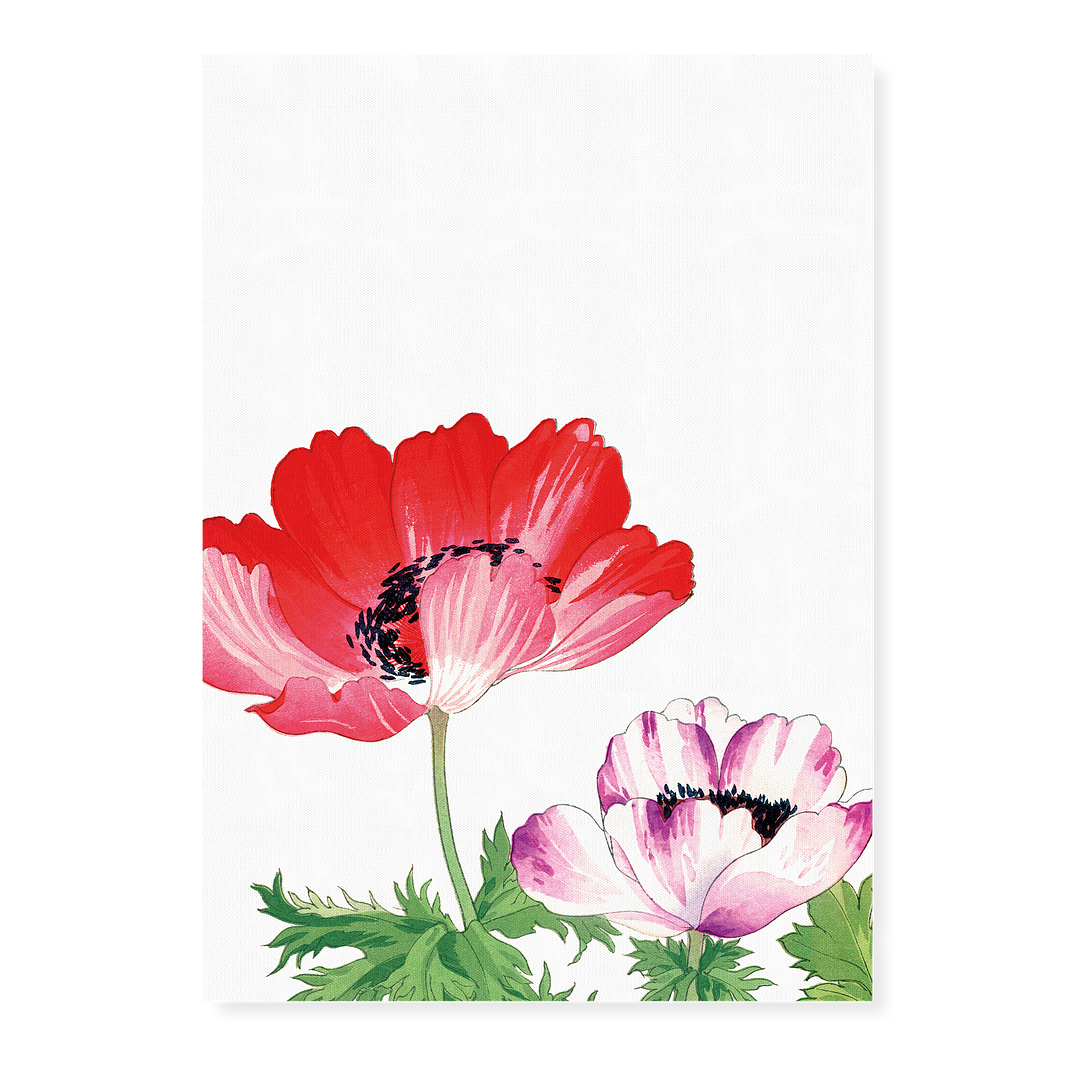 Red & Pink Poppy By Tanigami Kônan Art-Print