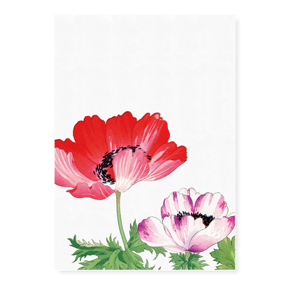 Red & Pink Poppy By Tanigami Kônan Art-Print