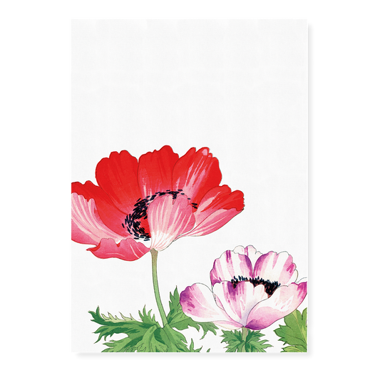 Red & Pink Poppy By Tanigami Kônan Art-Print