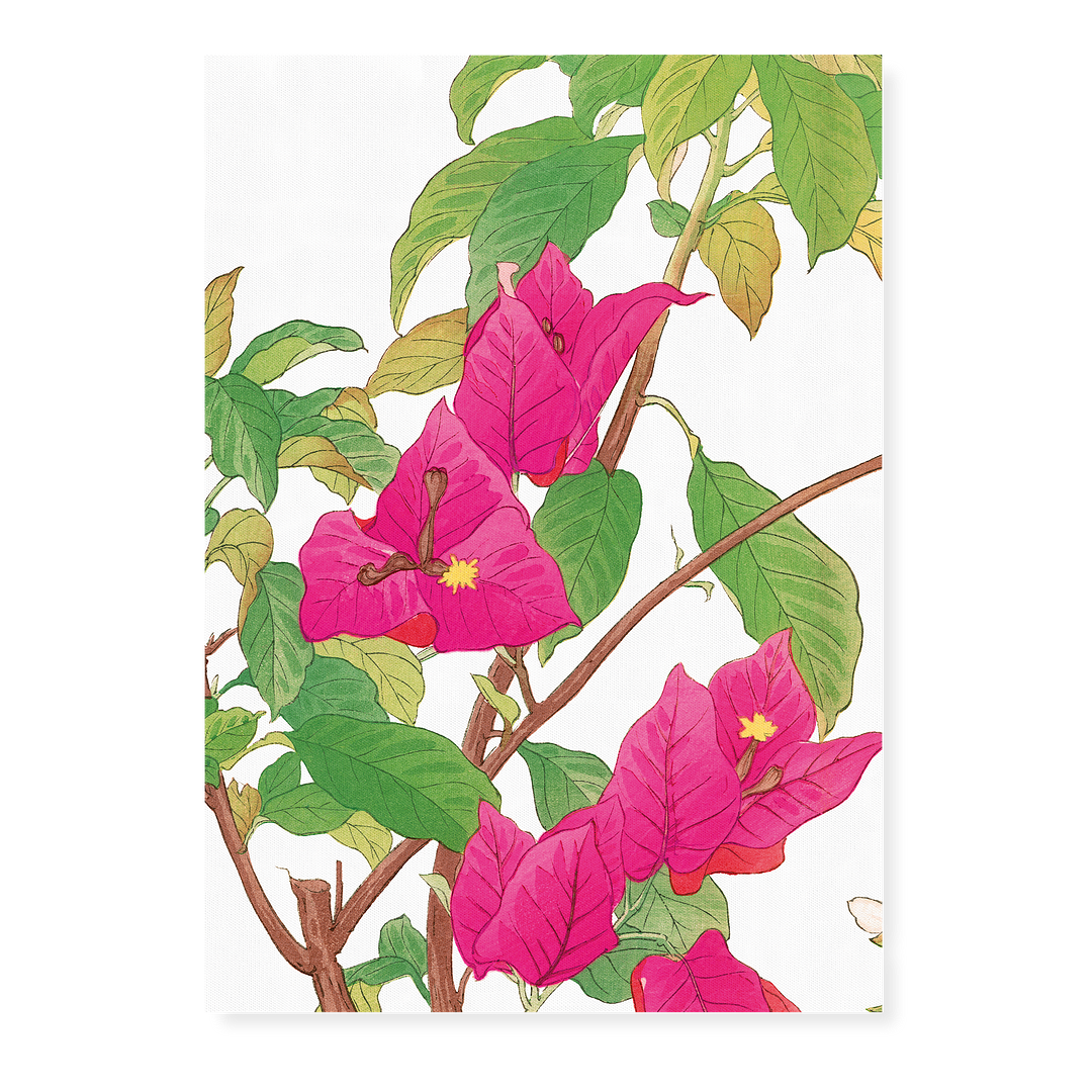 Bougainvillea By Tanigami Kônan Art-Print