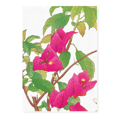 Bougainvillea By Tanigami Kônan Art-Print