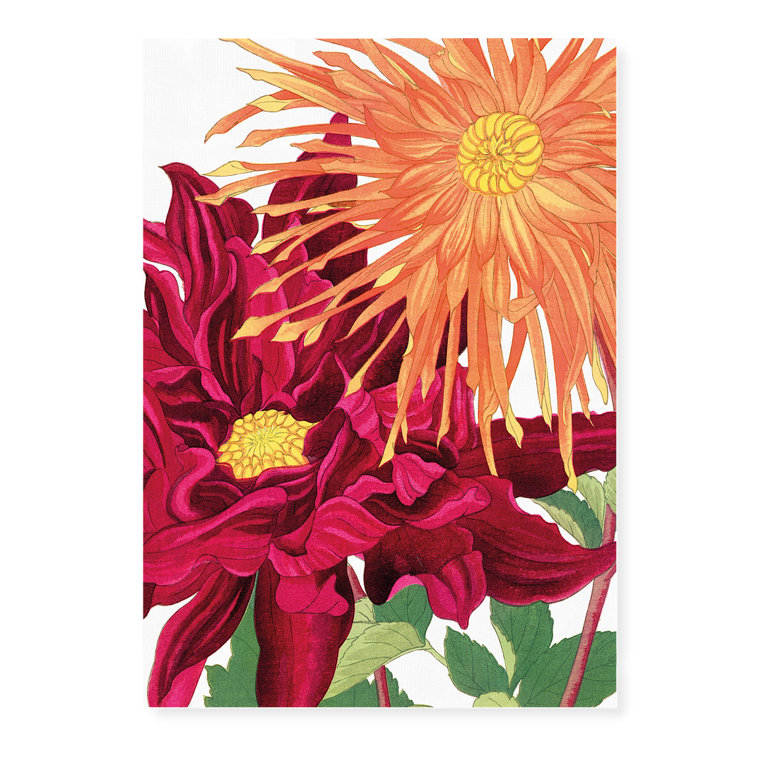 Dahlia flowers By Tanigami Kônan Art-Print