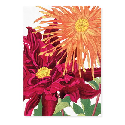 Dahlia flowers By Tanigami Kônan Art-Print