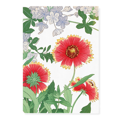 Blanket flower & Plumbago  By Tanigami Kônan Art-Print