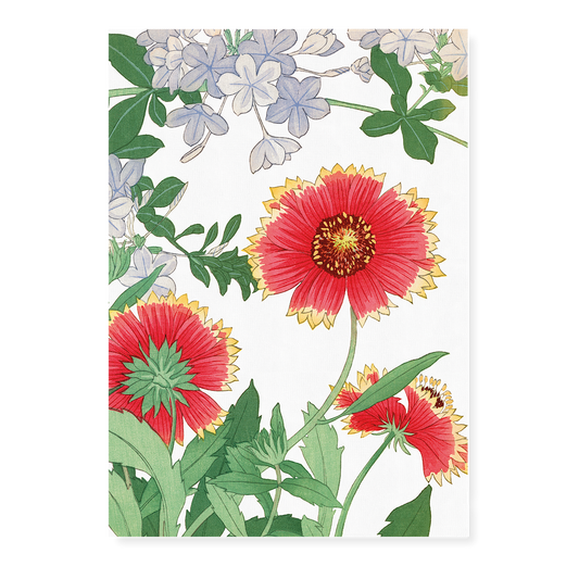 Blanket flower & Plumbago  By Tanigami Kônan Art-Print