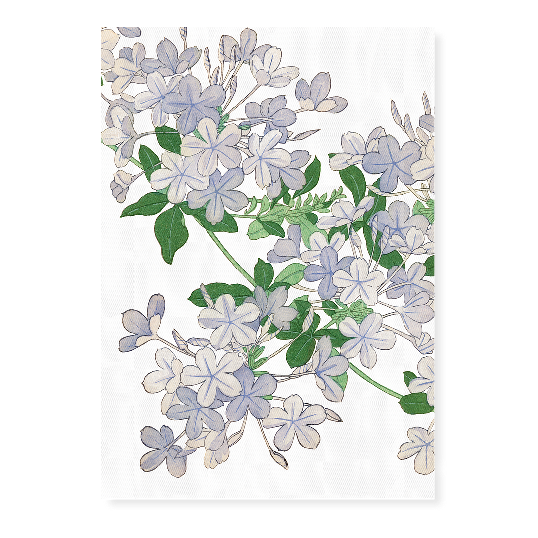 Plumbago By Tanigami Kônan Art-Print