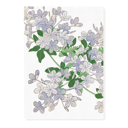 Plumbago By Tanigami Kônan Art-Print