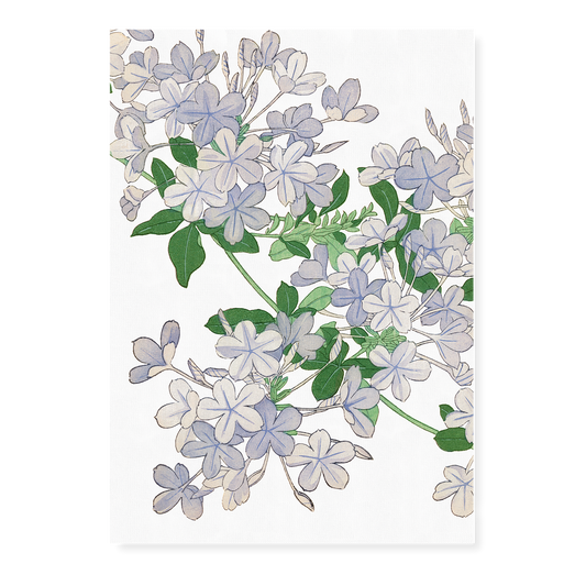 Plumbago By Tanigami Kônan Art-Print