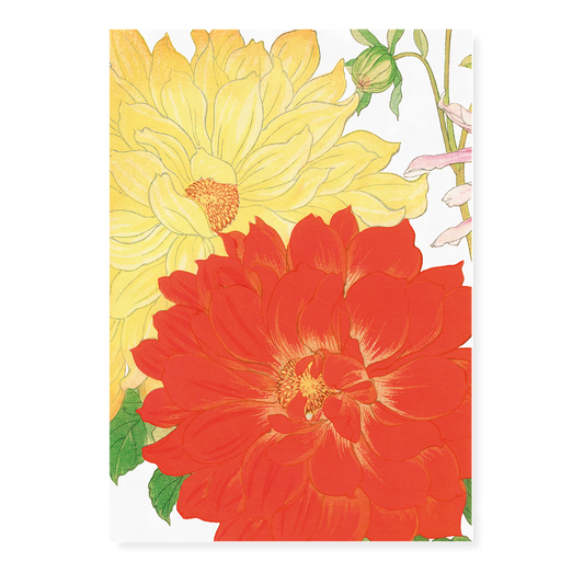 Yellow & Orange Dahlia By Tanigami Kônan Art-Print