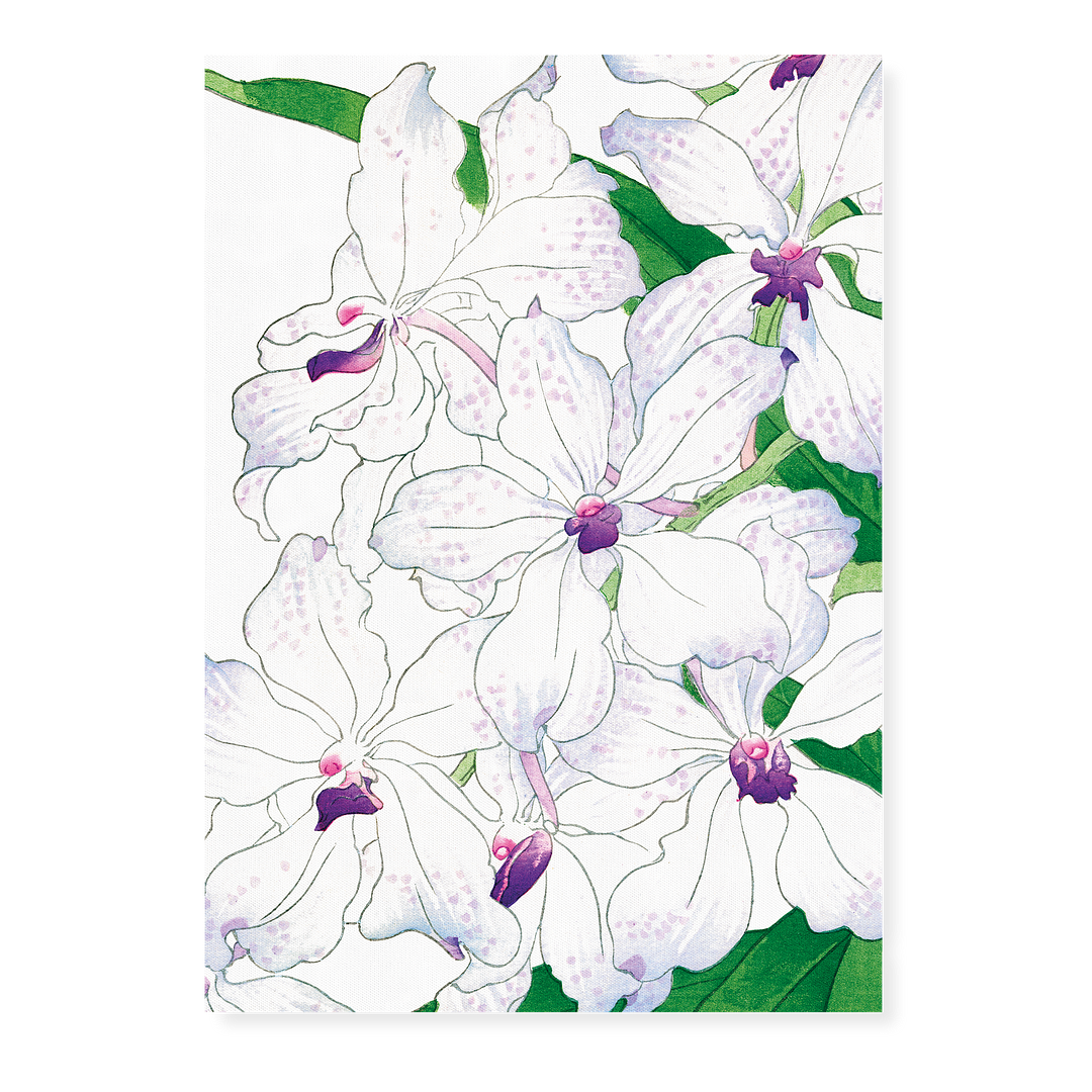 Orchid By Tanigami Kônan Art-Print