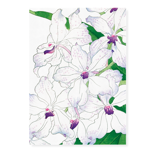 Orchid By Tanigami Kônan Art-Print