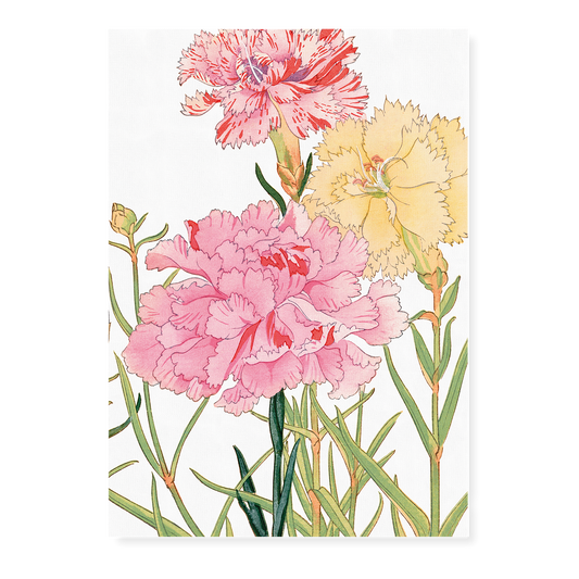 Carnation flowers By Tanigami Kônan Art-Print