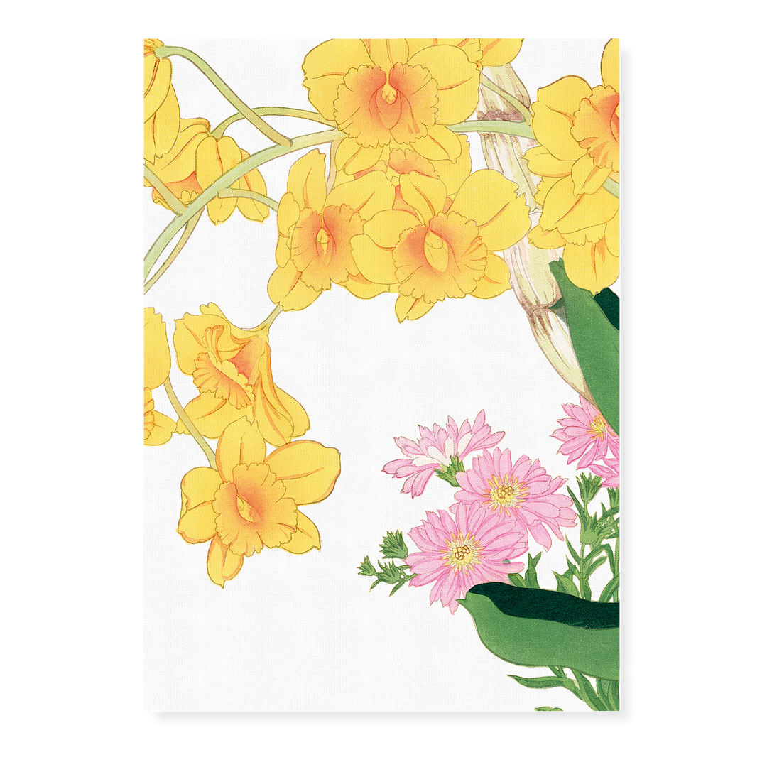 Dendrobium Chrysotoxum By Tanigami Kônan Art-Print