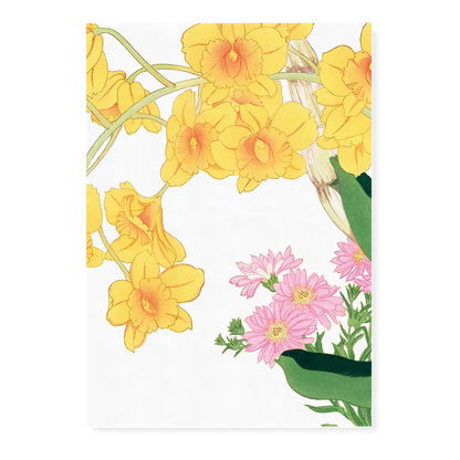 Dendrobium Chrysotoxum By Tanigami Kônan Art-Print