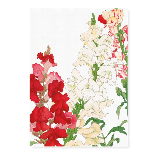 Antirrhinum By Tanigami Kônan Art-Print