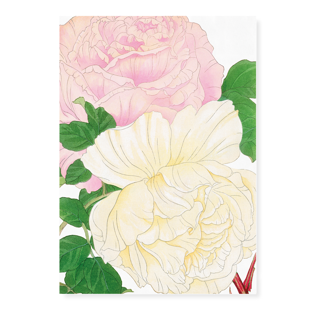 Pink & White Roses By Tanigami Kônan Art-Print