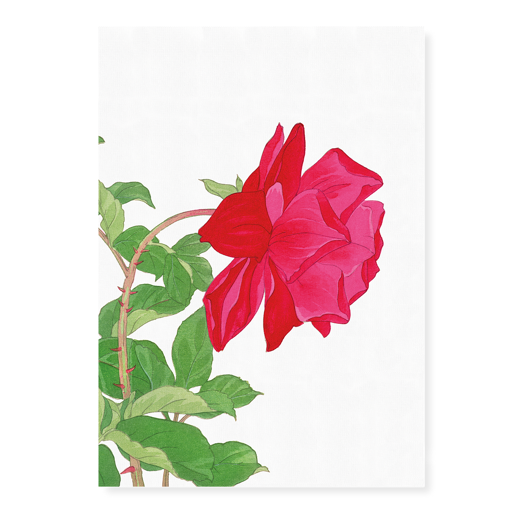 Little Red Rose By Tanigami Kônan Art-Print