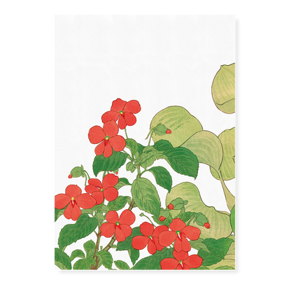 Impatiens By Tanigami Kônan Art-Print