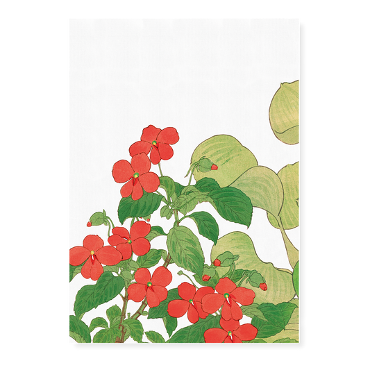 Impatiens By Tanigami Kônan Art-Print