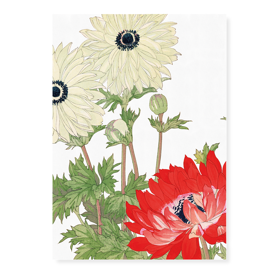 Anemone By Tanigami Kônan Art-Print