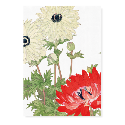 Anemone By Tanigami Kônan Art-Print