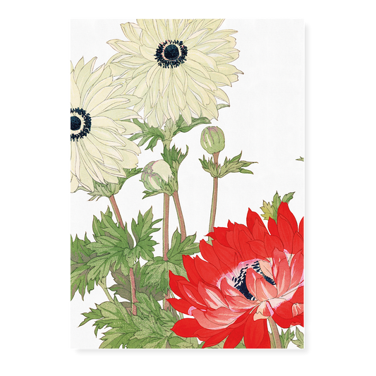 Anemone By Tanigami Kônan Art-Print