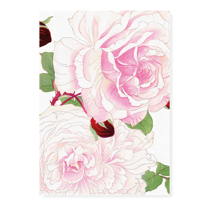 Pink Roses By Tanigami Kônan Art-Print