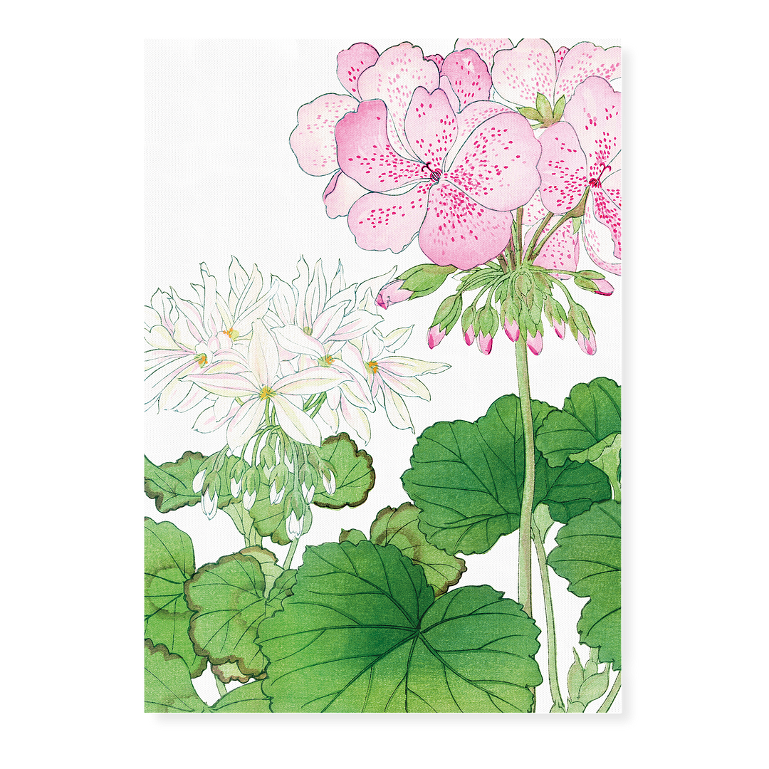 Geranium By Tanigami Kônan Art-Print