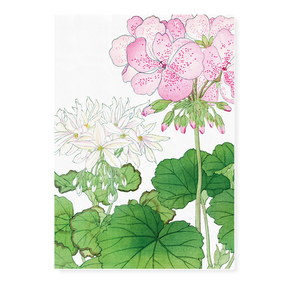 Geranium By Tanigami Kônan Art-Print