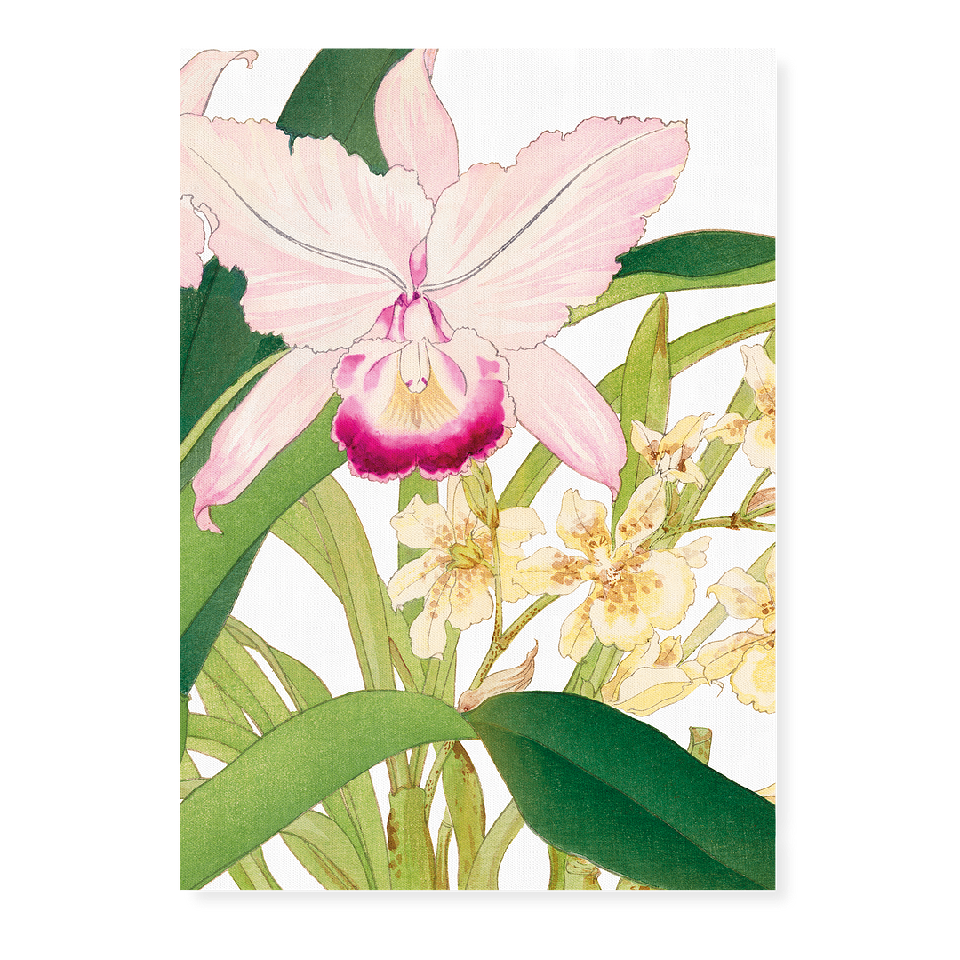 Oncidium By Tanigami Kônan Art-Print