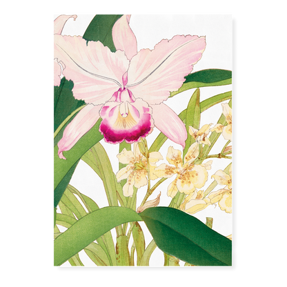 Oncidium By Tanigami Kônan Art-Print