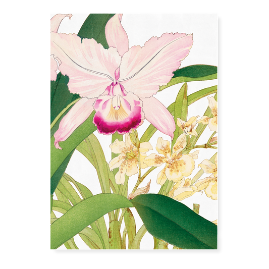 Oncidium By Tanigami Kônan Art-Print