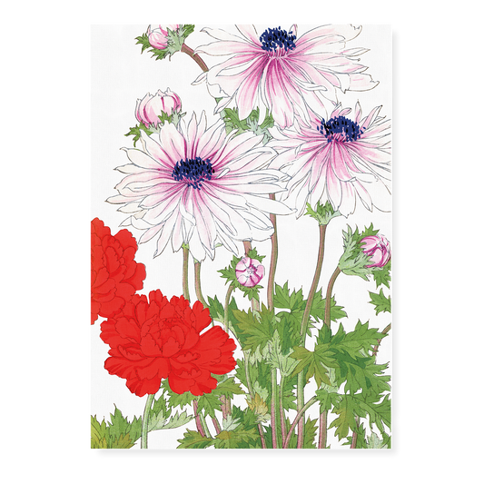 Anemone Flower By Tanigami Kônan Art-Print