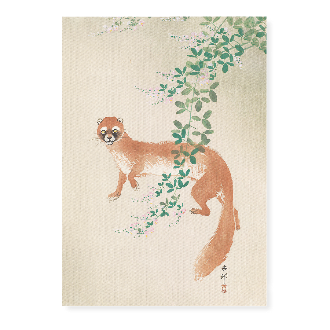 Weasel and the flowers By Ohara Koson - Art Print