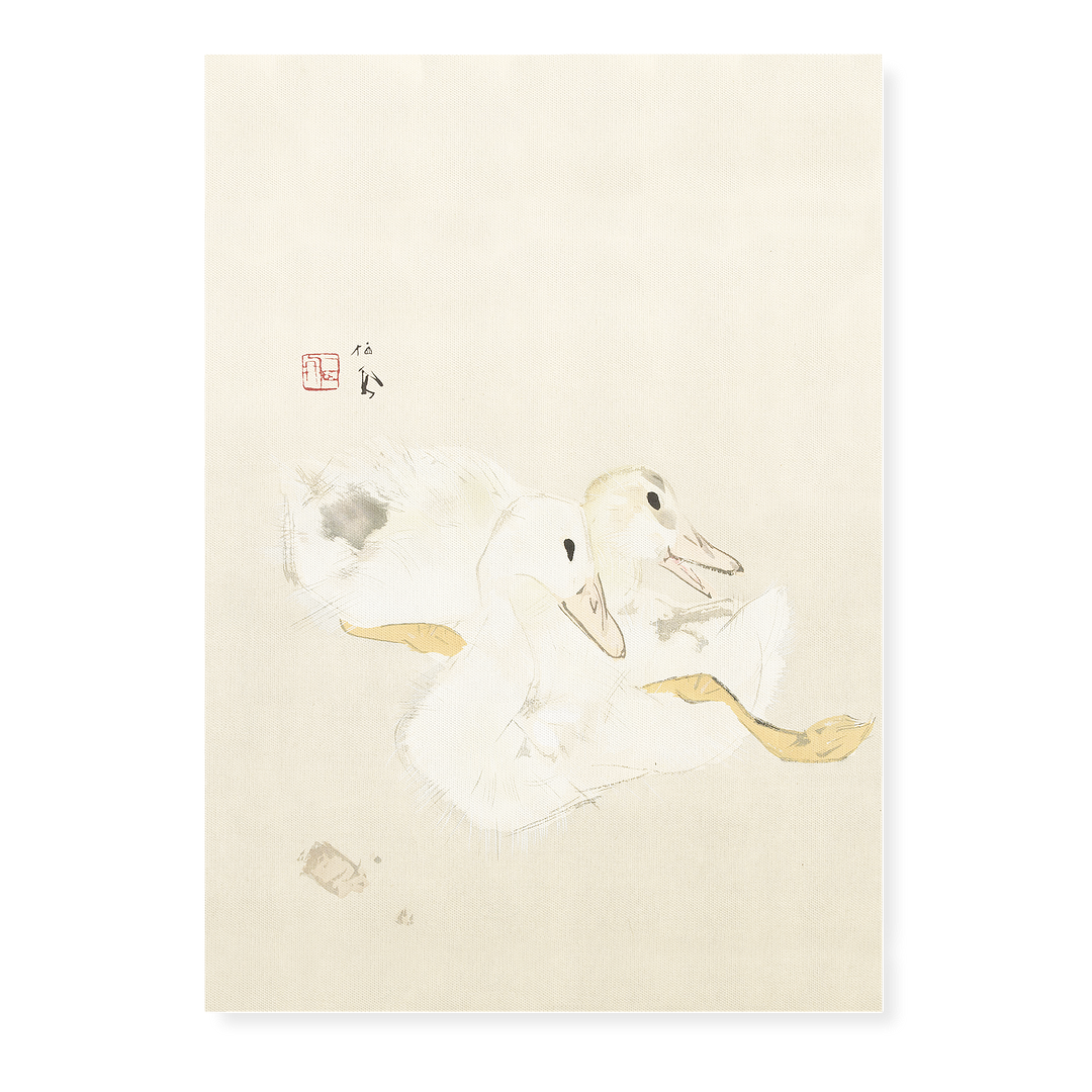 Two baby ducks By Takeuchi Seihō - Art Print