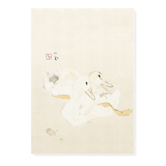 Two baby ducks By Takeuchi Seihō - Art Print