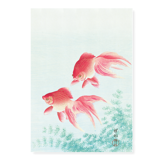 Two veil goldfish By Ohara Koson - Art Print