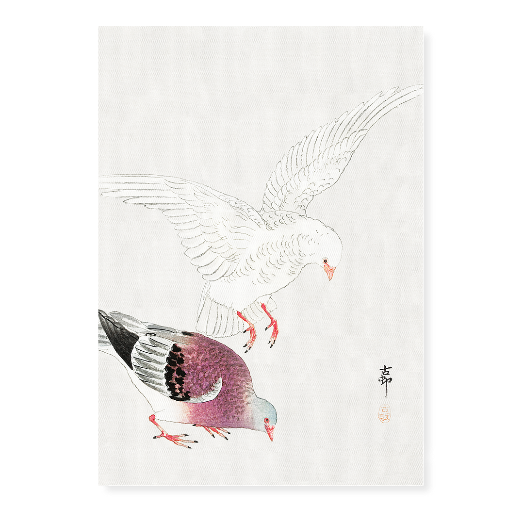 Two pigeons By Ohara Koson - Art Print