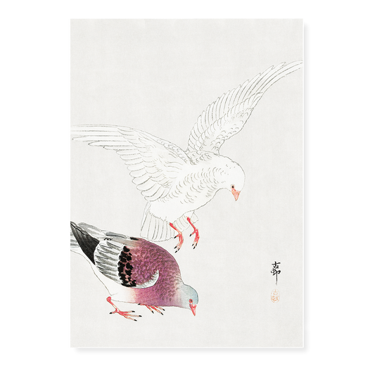 Two pigeons By Ohara Koson - Art Print