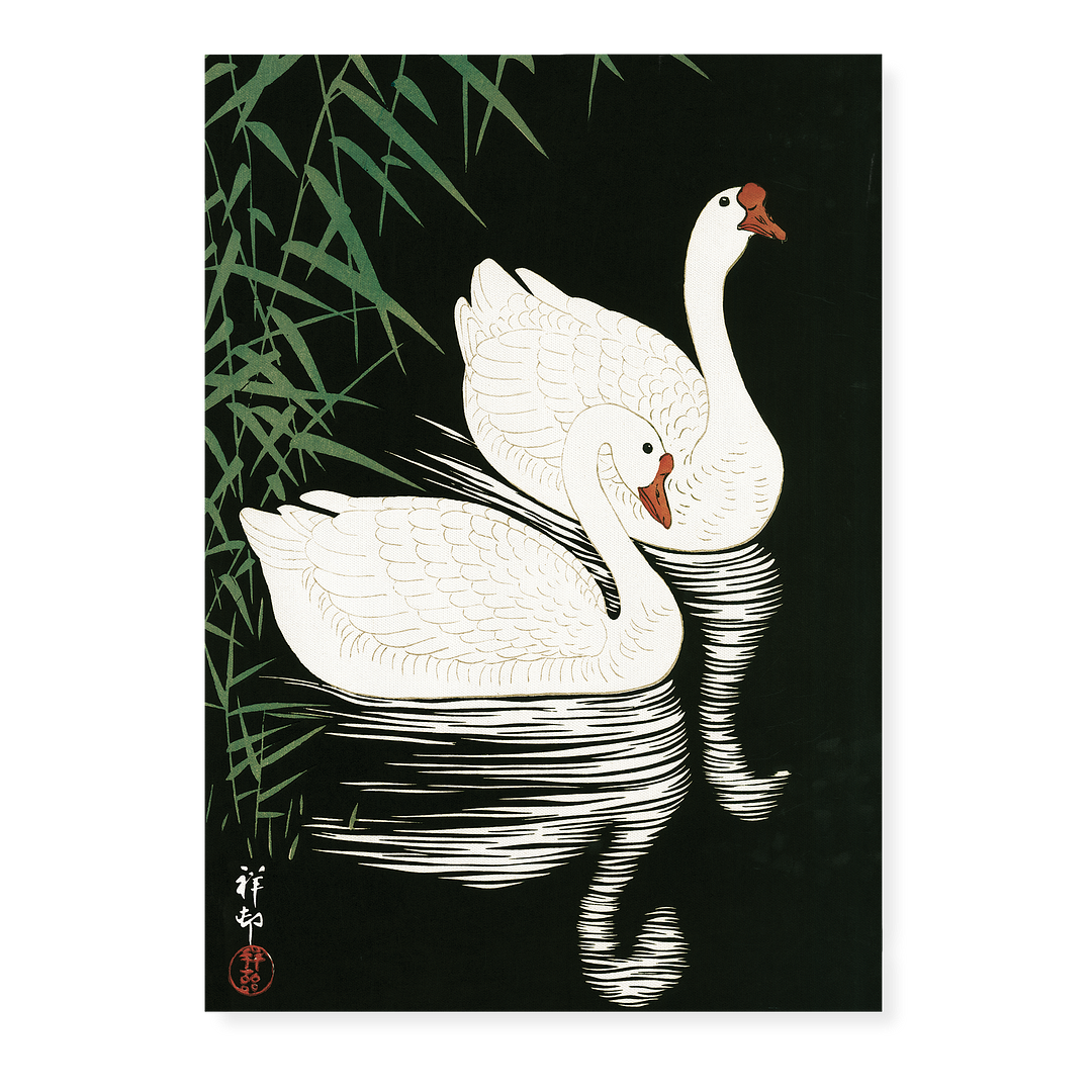 White Chinese Geese Swimming by Reeds By Ohara Koson - Art Print