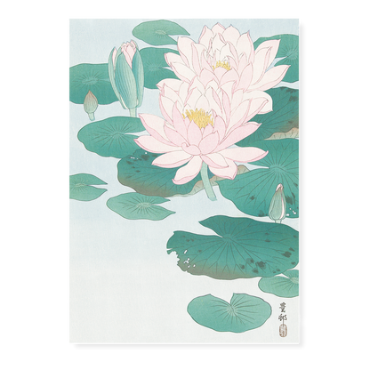 Water Lily By Ohara Koson - Art Print