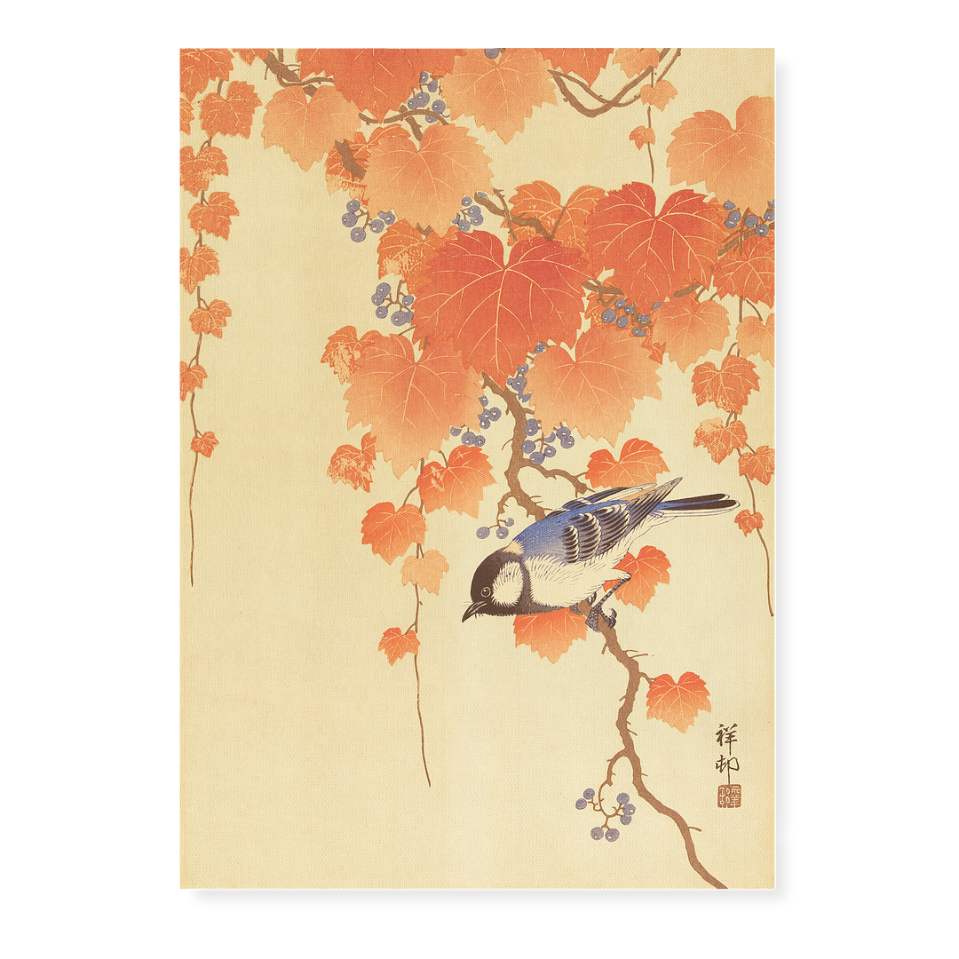 Great tit on paulownia branch By Ohara Koson - Art Print