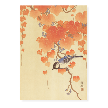 Great tit on paulownia branch By Ohara Koson - Art Print