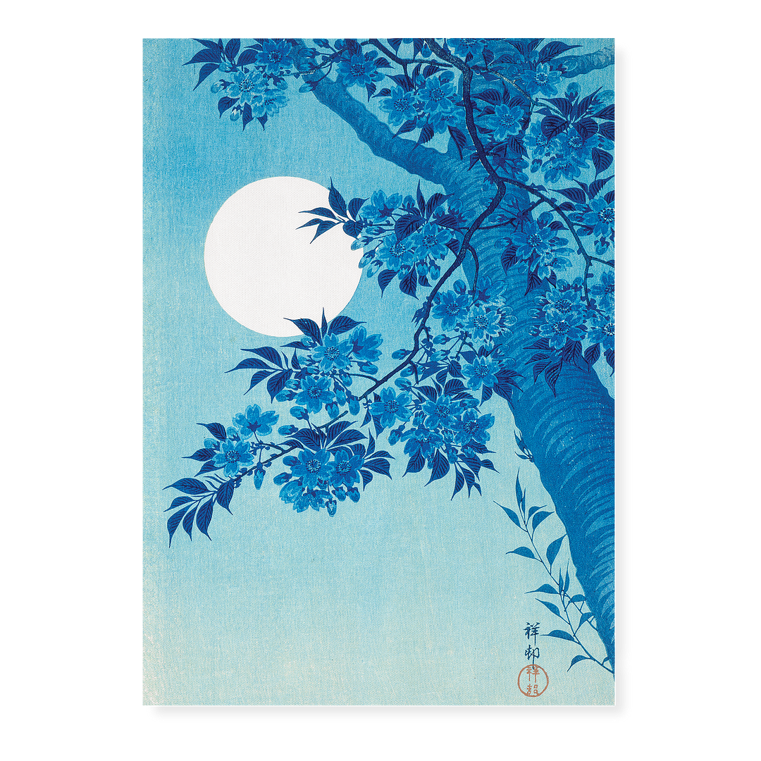 Blossoming Cherry on a Moonlit Night By Ohara Koson - Art Print