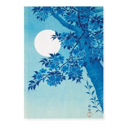 Blossoming Cherry on a Moonlit Night By Ohara Koson - Art Print