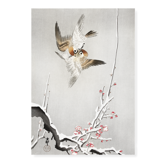 Sparrows and snowy plum tree By Ohara Koson - Art Print