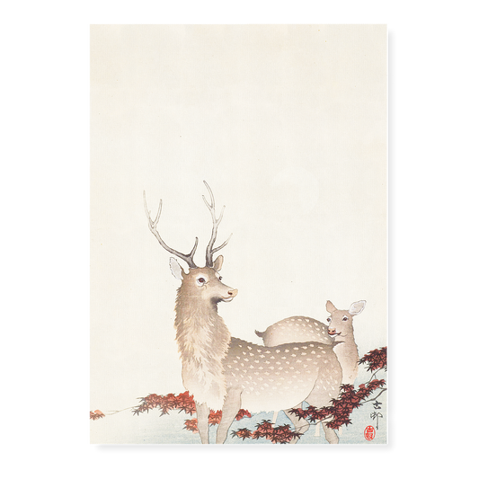 Couple of deers By Ohara Koson - Art Print