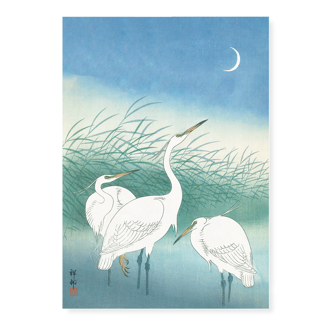 Herons in shallow water By Ohara Koson - Art Print