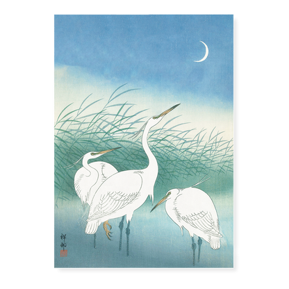 Herons in shallow water By Ohara Koson - Art Print